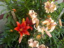 DSCN0249[1]