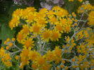 DSCN9532