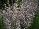 DSCN9533