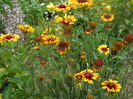 DSCN9535