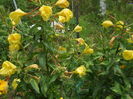 DSCN9536
