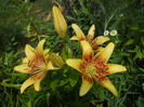 DSCN9540