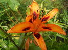 DSCN9541