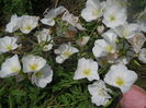 DSCN9544