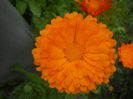 DSCN9568