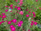 DSCN9569