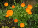 DSCN9570