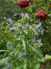 DSCN9577