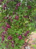 DSCN9597