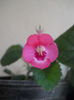 DSCN9359