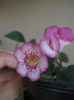 DSCN9360