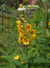 DSCN9370