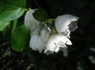 DSCN9373