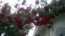 WP_20160526_030