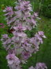 DSCN9486
