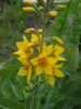 DSCN9487