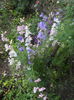 DSCN9489