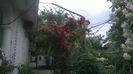 WP_20160526_071