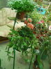 DSCN9606