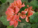 DSCN9615