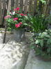 DSCN9631