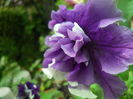 DSCN9635