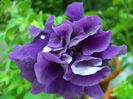 DSCN9636