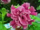 DSCN9637