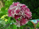 DSCN9638