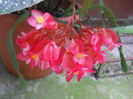 DSCN9643