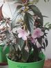 20160620_132702