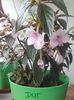 20160620_132657