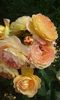 20160620_095447