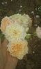 20160620_095014