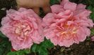 20160620_094820