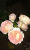 20160619_181237