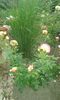 20160619_181136