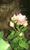 20160619_181040