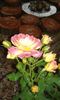 20160619_181031