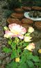 20160619_181023
