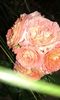 20160619_180923