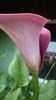 DSC05752