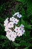IMG_20160620_203611