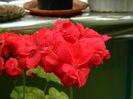 DSCN0416