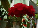 DSCN0420
