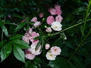 DSCN0432