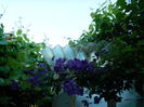 DSCN0435