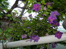DSCN0437
