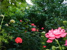 DSCN0441