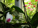DSCN0453